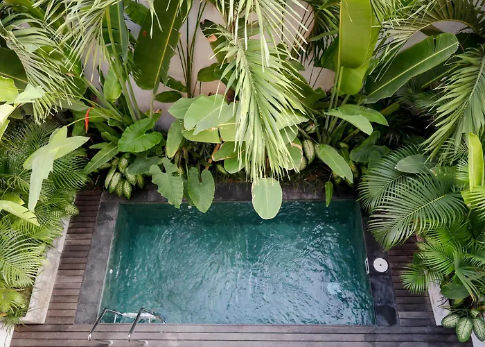 Sunny Cuddles Canggu 2 Bedroom
